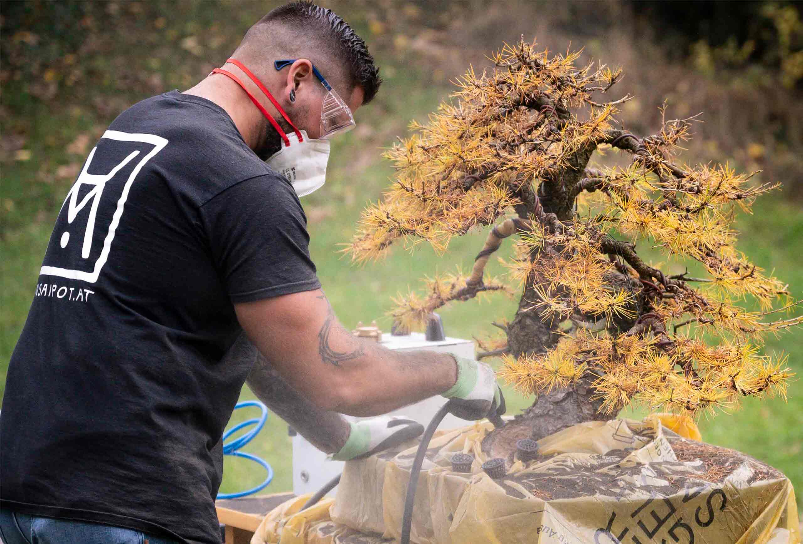 Bonsai-Workshop im Oktober mit dem Bonsai-Knstler Yannick Kiggen und dem  Bonsai-Knstler Josef Rauscher