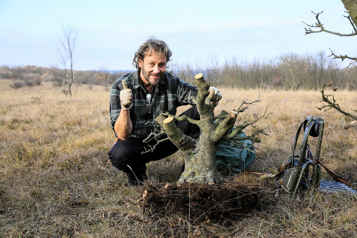 Yamadori  Bume sammeln in der Natur - Bonsai Kreativ
