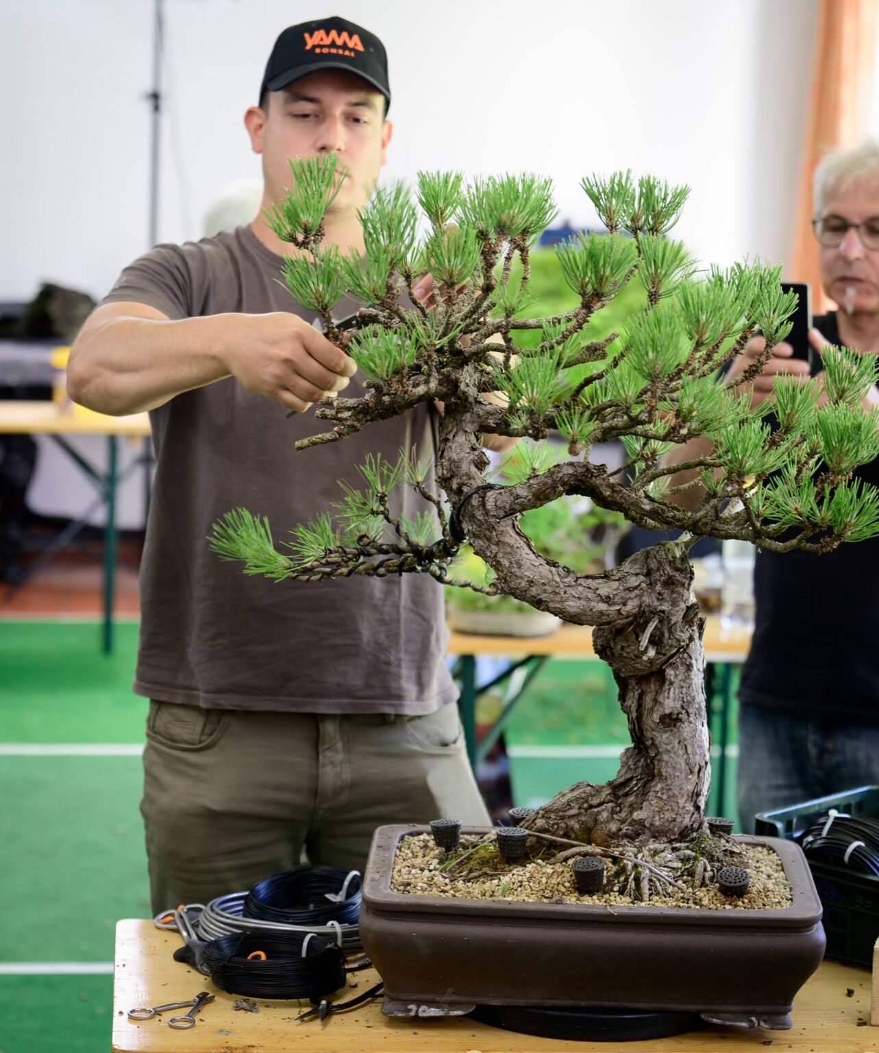 Bonsai Kreativ - Bonsai workshops & techniques with practical examples