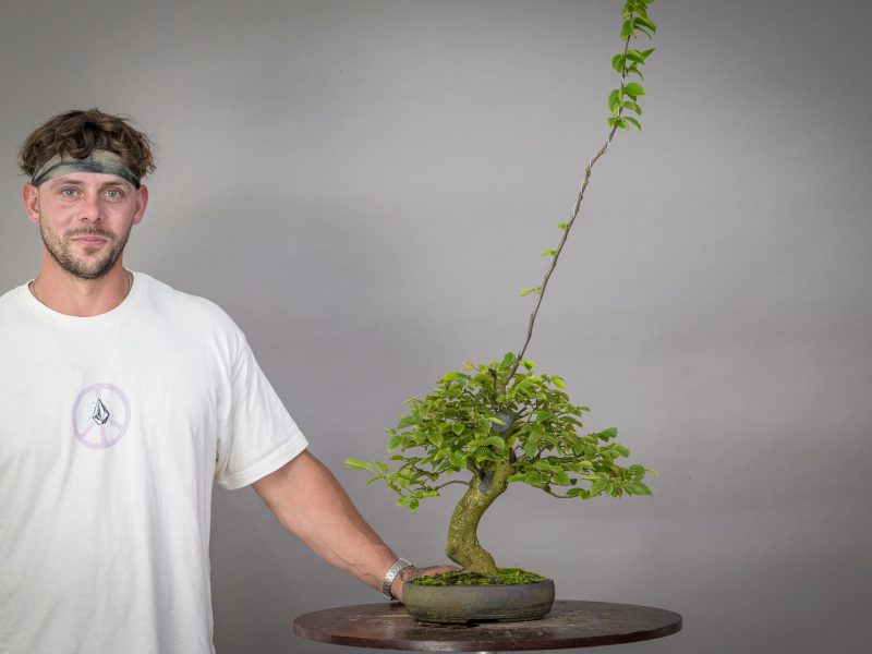 Bonsai-Kreativ-Wochenende mit den Bonsaikünstlern Václav Stropek und Josef Rauscher.00081