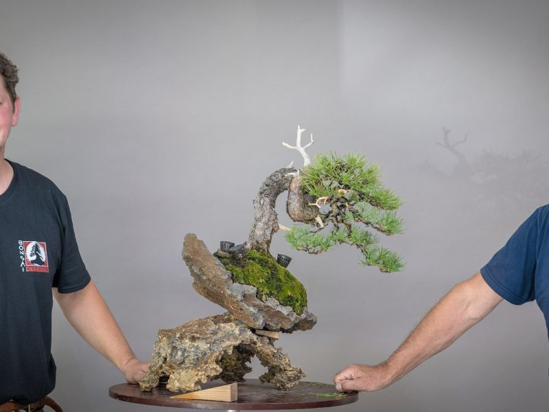 Bonsai-Kreativ-Wochenende mit den Bonsaikünstlern Václav Stropek und Josef Rauscher.00092