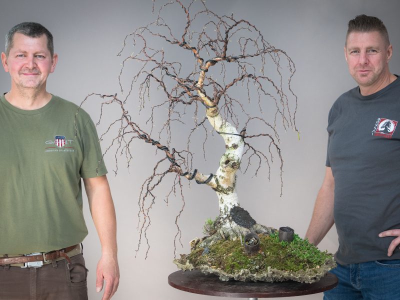 Bonsai-Kreativ-Workshop-Wochenende mit Václav Stropek und Josef Rauscher00008