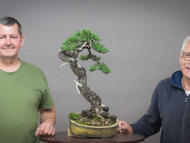Bonsai-Kreativ-Workshop-Wochenende mit Václav Stropek und Josef Rauscher00060