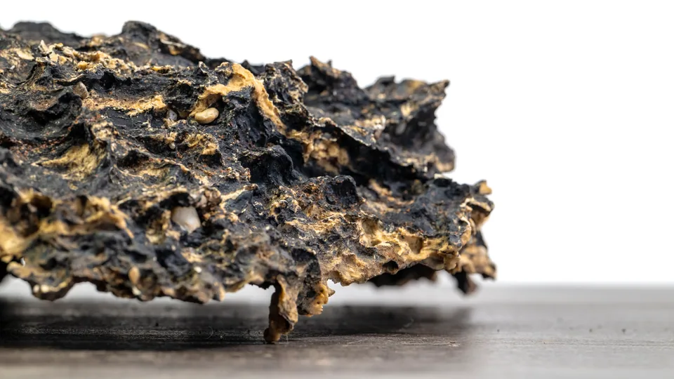 Rock creation Slab No. 59 — Underside in detail