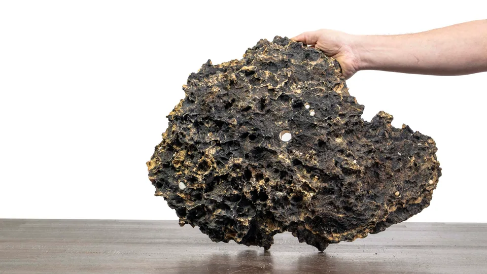 Rock creation Slab No. 59 — Opposite view of the underside