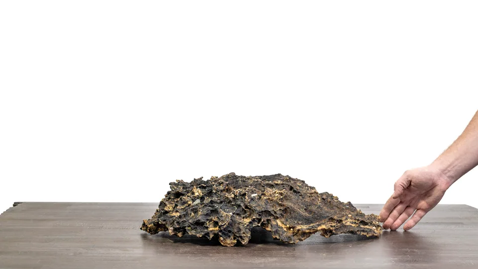 Rock creation Slab No. 59 — Overall view, turned over