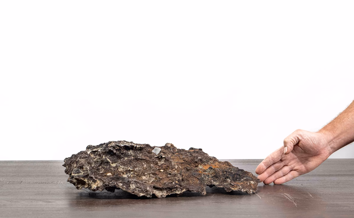 Slab No. 65 in flacher Gesamtansicht mit offener Pflanzfläche und einer Hand als Größenvergleich
