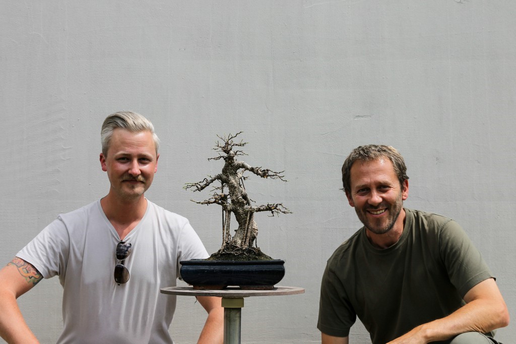 Two people beside a bonsai styled during the workshop, after leaf pruning