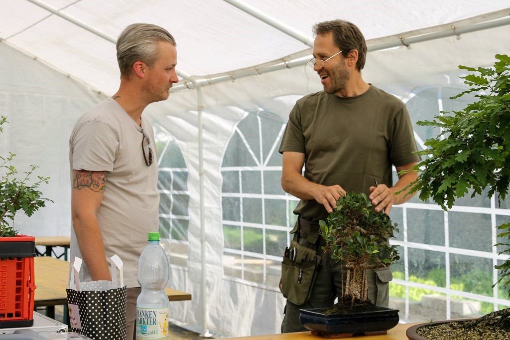 Discussing a bonsai design