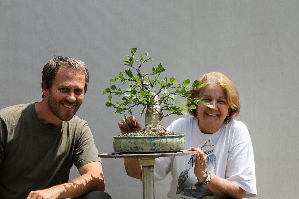 Working on a bonsai by pruning its leaves