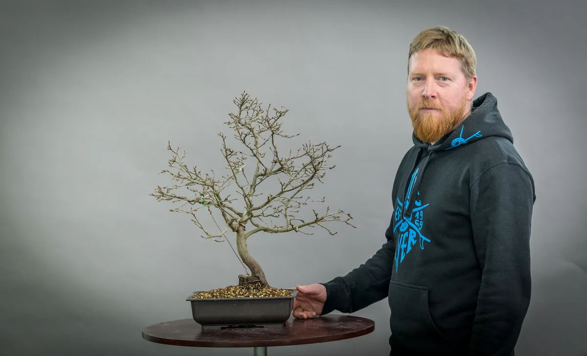 Beim Bonsai-Kreativ-Workshop mit Yannick Kiggen: Bearbeitung eines Laubbaums ohne Laub, mit gut sichtbarer Verzweigung.