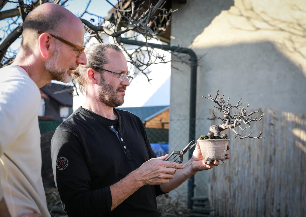 At the Bonsai Kreativ workshop with Josef Burschl: A shared discussion around a broadleaf bonsai in a small format, without leaves.