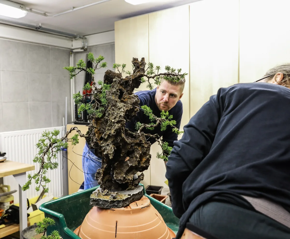 At the Bonsai Kreativ workshop with Josef Burschl: Hands at work on a bonsai on a rock composition.