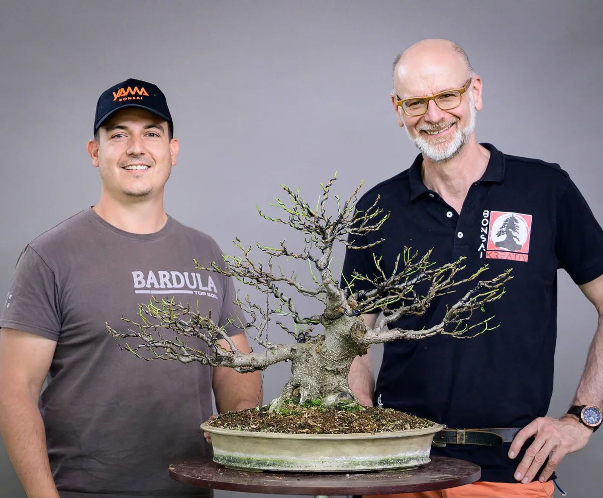 Beim Bonsai-Kreativ-Workshop mit Yannick Kiggen: Bearbeitung eines Laubbaums ohne Laub, mit gut sichtbarer Verzweigung.