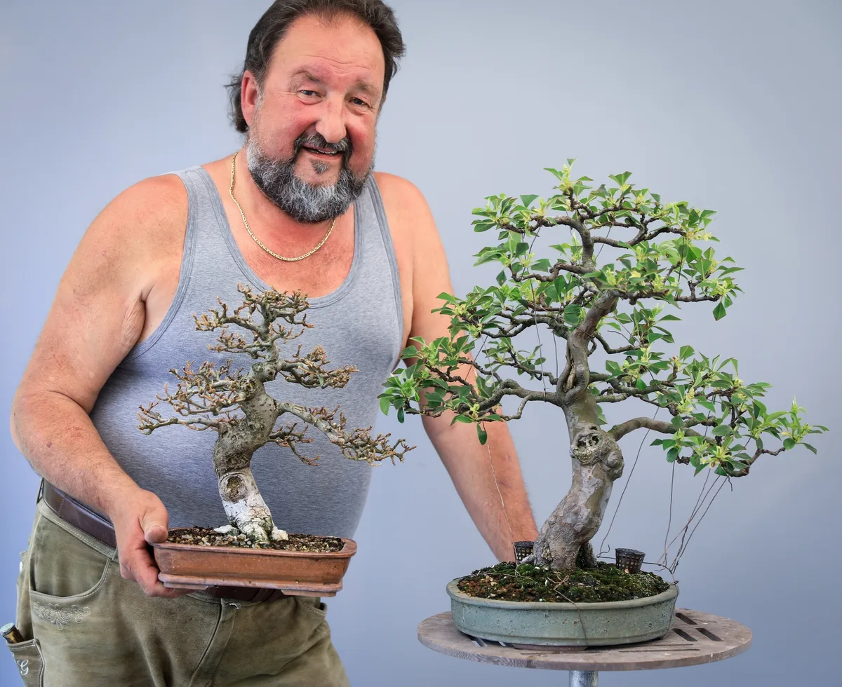 Mehrere Bonsai im kleinen Format werden beim Bonsai-Kreativ-Workshop bearbeitet.