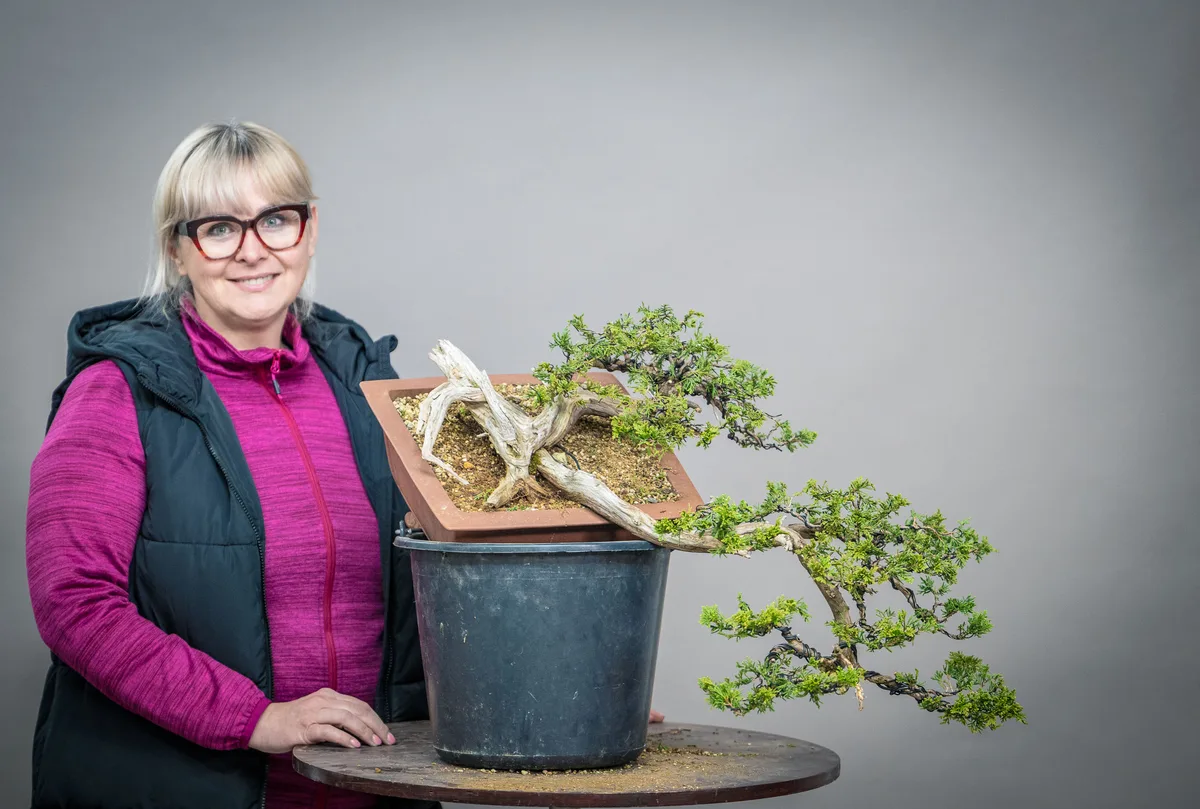 At the Bonsai Kreativ workshop with Yannick Kiggen: Workshop work on a bonsai with drooping branches.