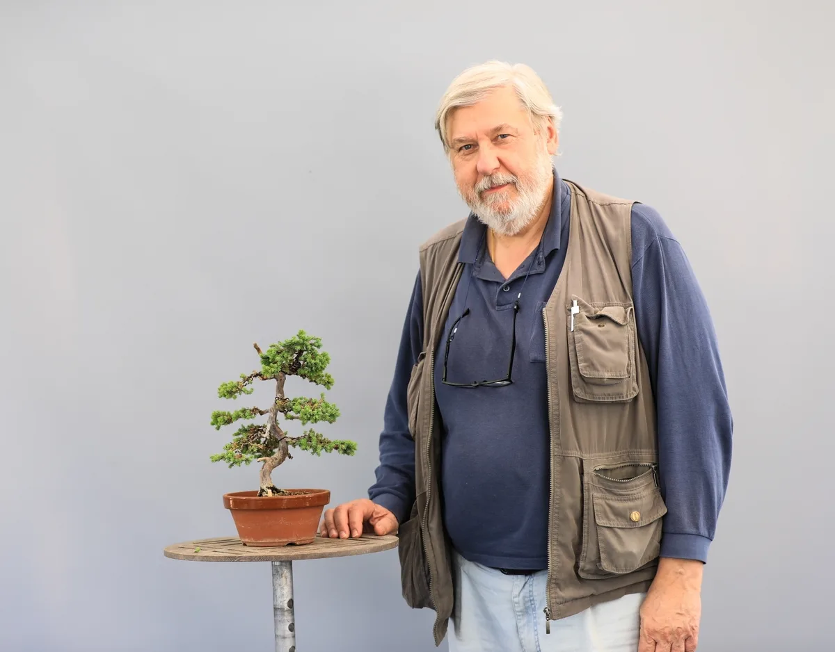 At the Bonsai Kreativ workshop with Josef Burschl: Workshop work on a conifer in a small format, with defined foliage pads.