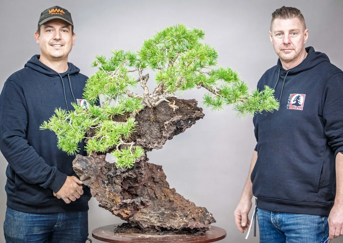 At the Bonsai Kreativ workshop with Yannick Kiggen: Workshop work on a bonsai on a planting base.