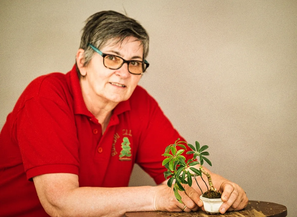 Beim Bonsai-Kreativ-Workshop mit Jan Culek: Bearbeitung eines Laubbaums im kleinen Format, mit belaubter Krone.