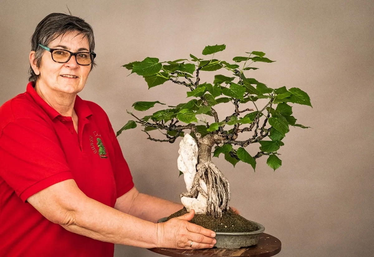 Beim Bonsai-Kreativ-Workshop mit Jan Culek: Bearbeitung eines Laubbaums auf einer Felsgestaltung, mit freigelegtem Wurzelballen.