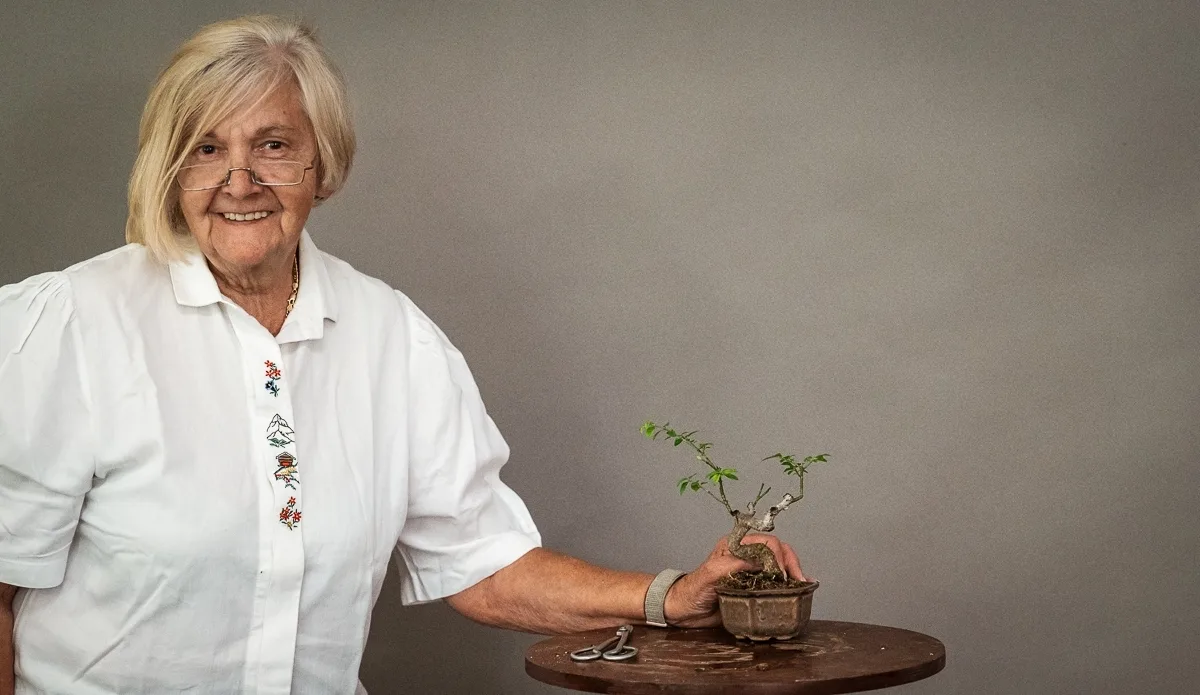 Beim Bonsai-Kreativ-Workshop mit Jan Culek: Bearbeitung eines Laubbaums im kleinen Format, mit gedrahteten Ästen.