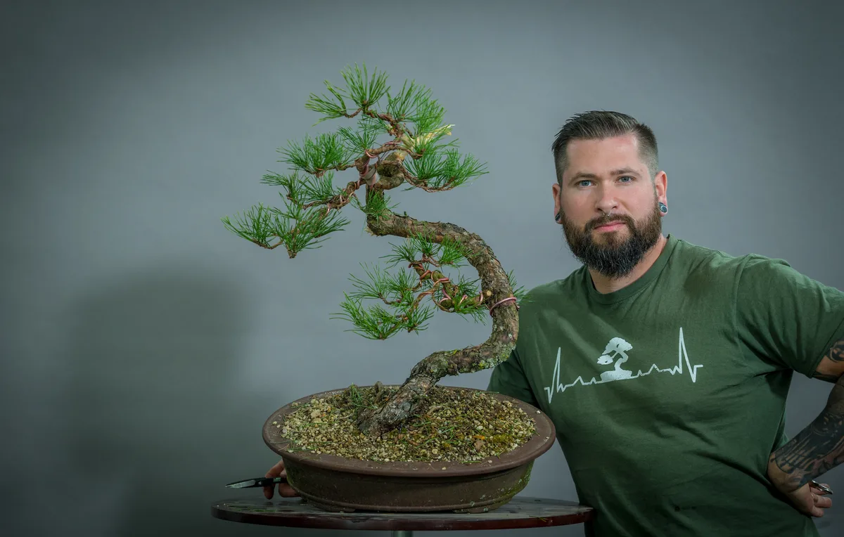 Beim Bonsai-Kreativ-Workshop mit Yannick Kiggen: Bearbeitung einer Kiefer mit geschwungenem Stamm und sichtbarer Benadelung.