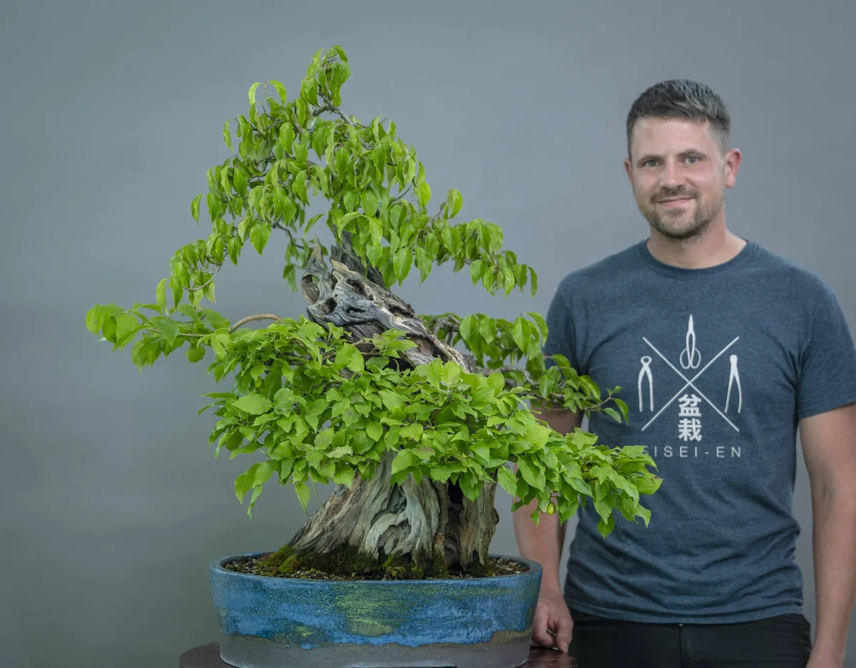 At the Bonsai Kreativ workshop with Yannick Kiggen: Workshop work on a broadleaf bonsai with distinctive trunk hollows and a leafy crown.