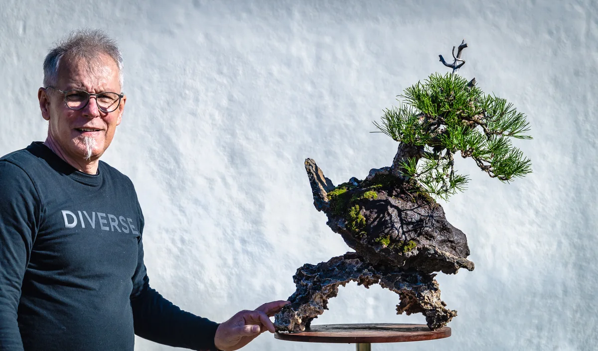 Beim Bonsai-Kreativ-Workshop mit Jan Culek: Bearbeitung einer Kiefer auf einer Felsgestaltung, mit markantem Totholz.
