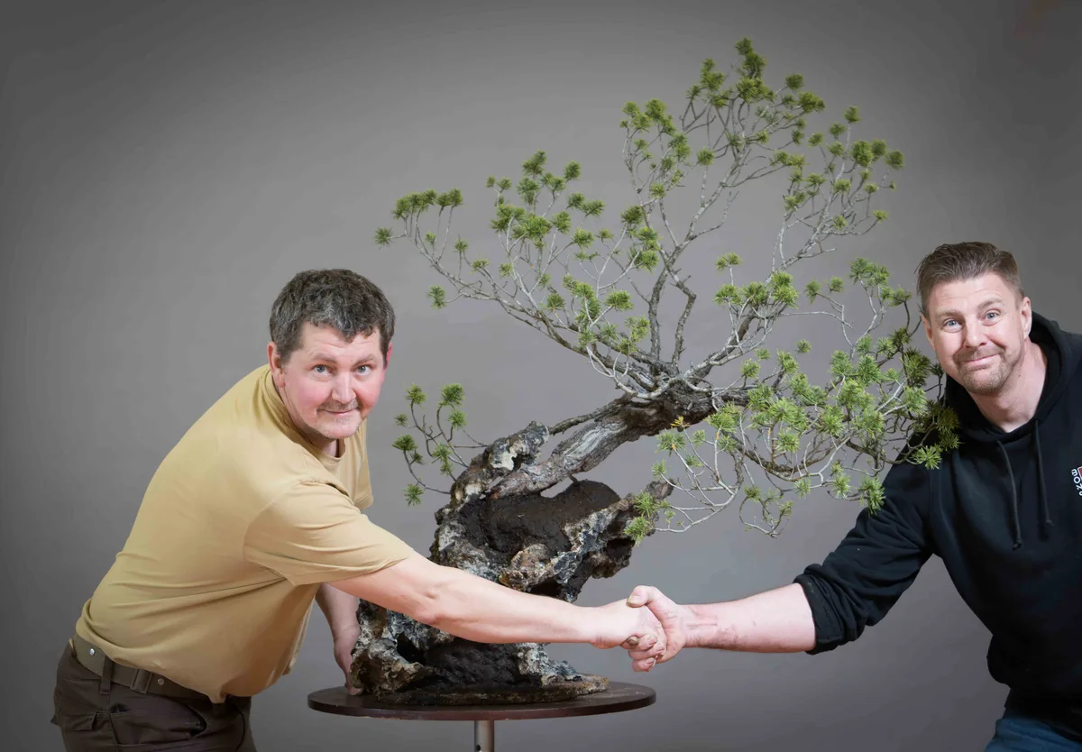 At the Bonsai Kreativ workshop with Václav Stropek: Workshop work on a Scots pine (Pinus sylvestris) on a rock composition, with distinctive trunk hollows.