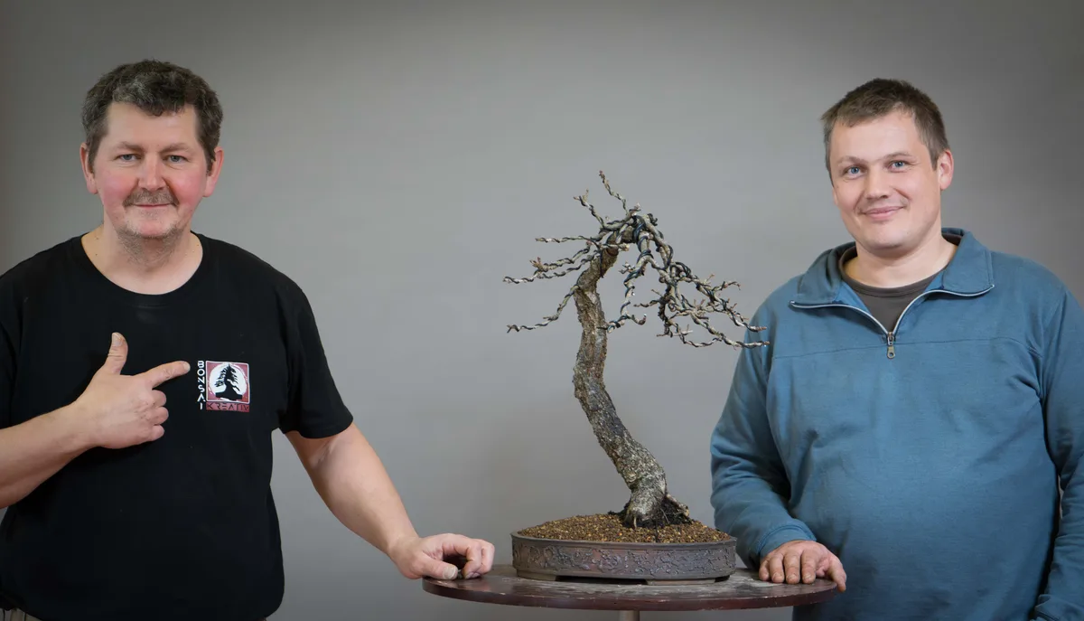 At the Bonsai Kreativ workshop with Václav Stropek: Workshop work on a larch without needles, with a curved trunk.
