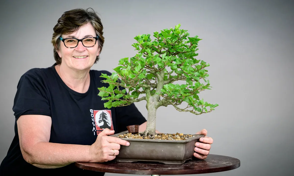 Beim Bonsai-Kreativ-Workshop mit Yannick Kiggen: Bearbeitung eines Laubbaums im kleinen Format, mit belaubter Krone.