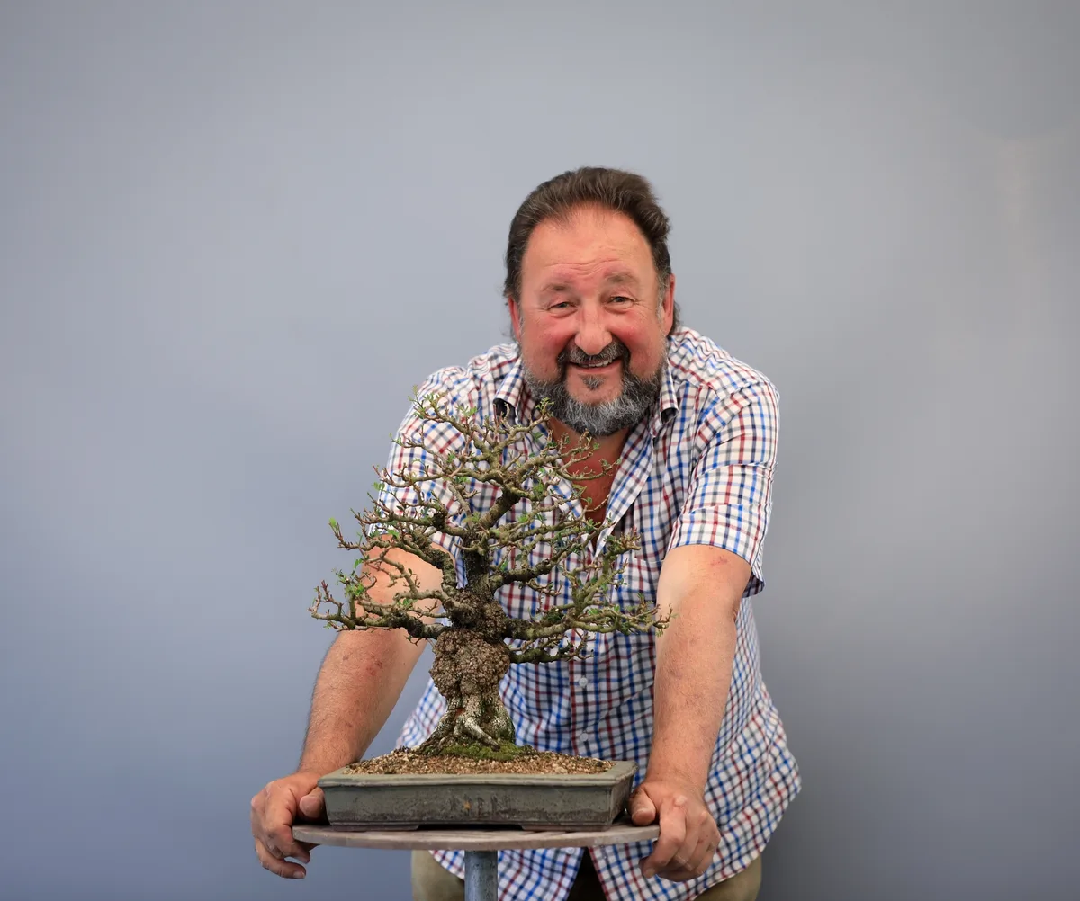 Beim Bonsai-Kreativ-Workshop mit Josef Burschl: Bearbeitung eines Laubbaums im kleinen Format, mit frischem Austrieb.