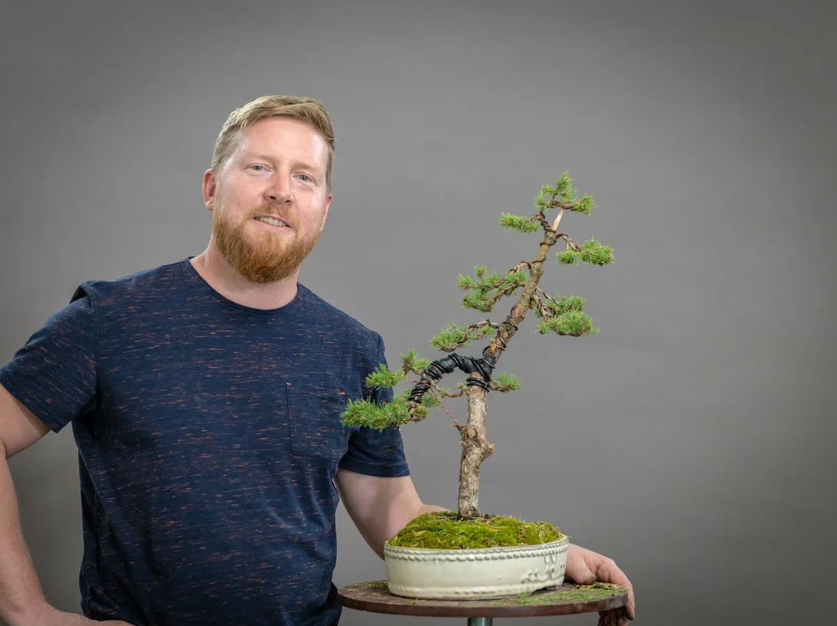 Beim Bonsai-Kreativ-Workshop mit Yannick Kiggen: Bearbeitung eines Nadelbaums mit schlanker Silhouette und gedrahteten Ästen.