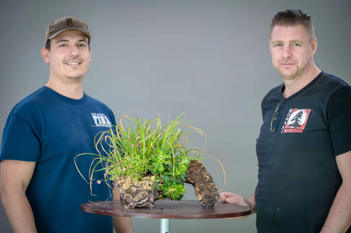 Beim Bonsai-Kreativ-Workshop mit Yannick Kiggen: Bearbeitung einer Beistellpflanzung auf einer Felsgestaltung, mit belaubter Krone.