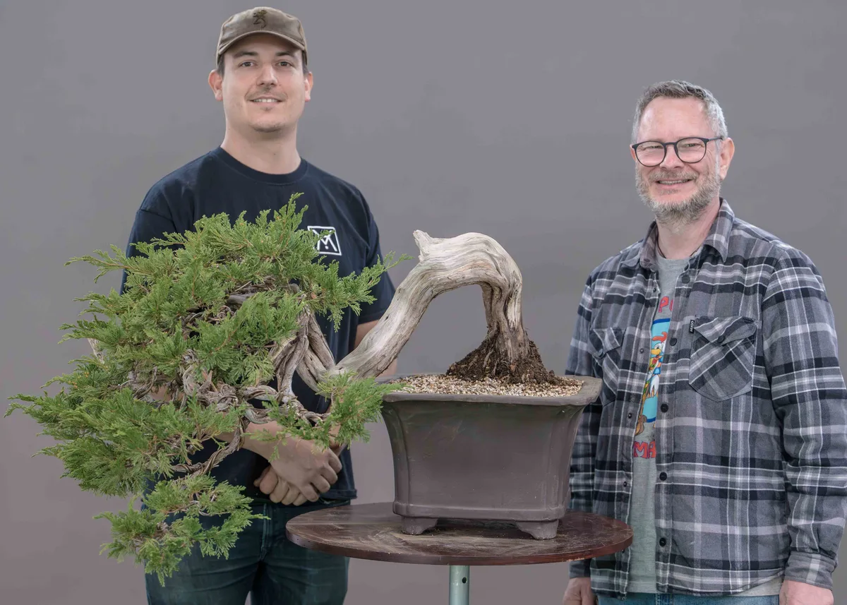 Beim Bonsai-Kreativ-Workshop mit Yannick Kiggen: Bearbeitung eines Wacholders in Kaskadenform, mit markantem Totholz.