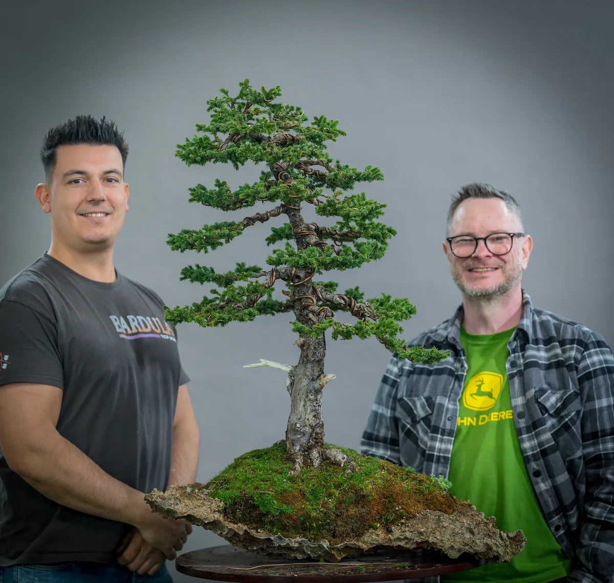 Beim Bonsai-Kreativ-Workshop mit Yannick Kiggen: Bearbeitung eines Nadelbaums in aufrechter Form, auf einer Felsgestaltung.