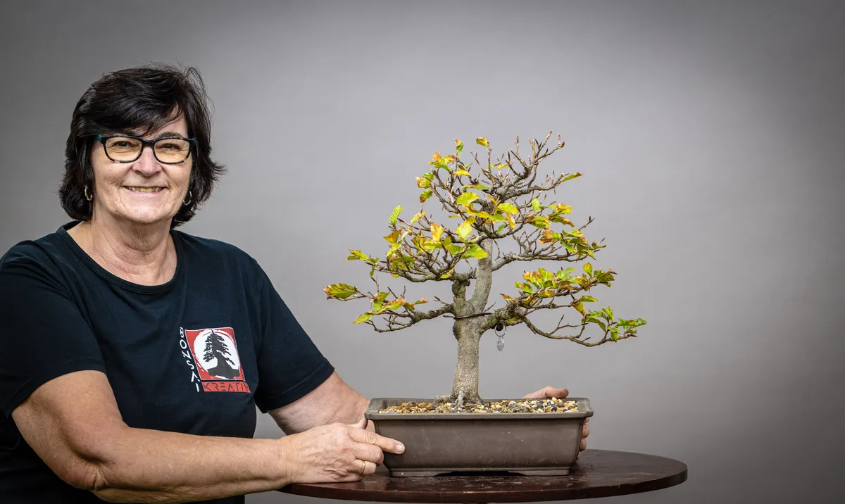 At the Bonsai Kreativ workshop with Václav Stropek: Workshop work on a broadleaf bonsai with autumn colour and clearly visible branching.