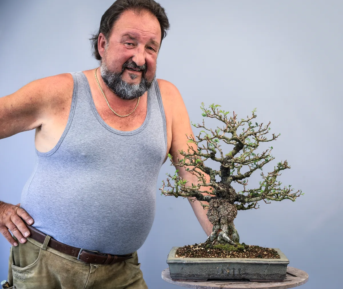 Beim Bonsai-Kreativ-Workshop mit Josef Burschl: Bearbeitung eines Laubbaums im kleinen Format, mit frischem Austrieb.