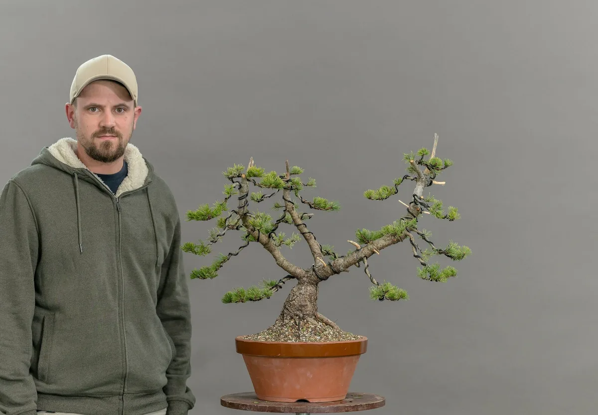 Beim Bonsai-Kreativ-Workshop mit Yannick Kiggen: Bearbeitung einer Kiefer mit mehreren Stämmen und gegliederten Astpolstern.