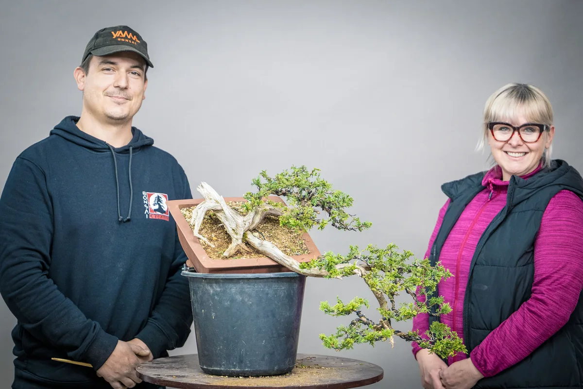 At the Bonsai Kreativ workshop with Yannick Kiggen: Workshop work on a bonsai with prominent deadwood.