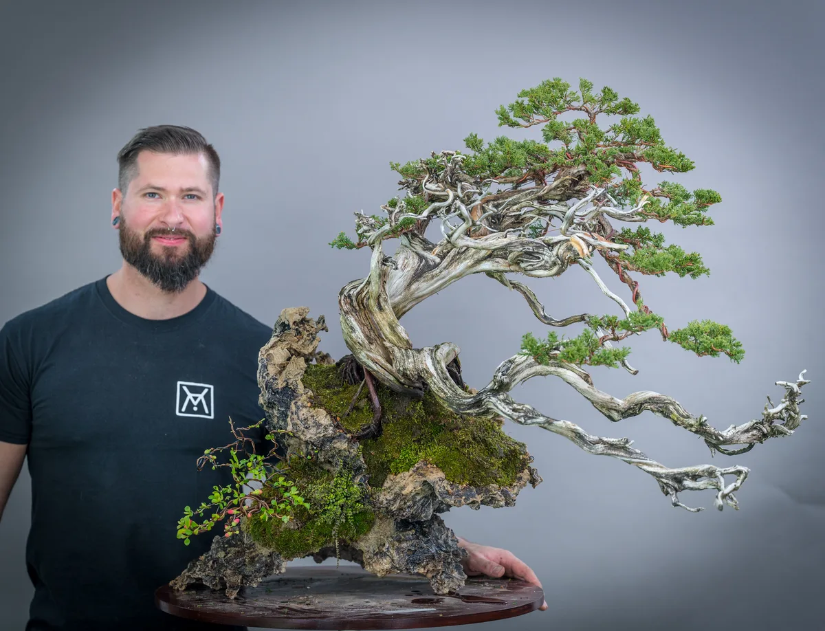 Beim Bonsai-Kreativ-Workshop mit Yannick Kiggen: Bearbeitung eines Wacholders auf einer Felsgestaltung, mit markantem Totholz.