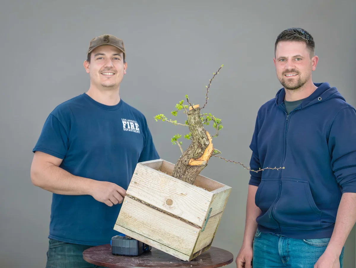 Beim Bonsai-Kreativ-Workshop mit Yannick Kiggen: Bearbeitung eines Laubbaums in geneigter Position, mit frischem Austrieb.
