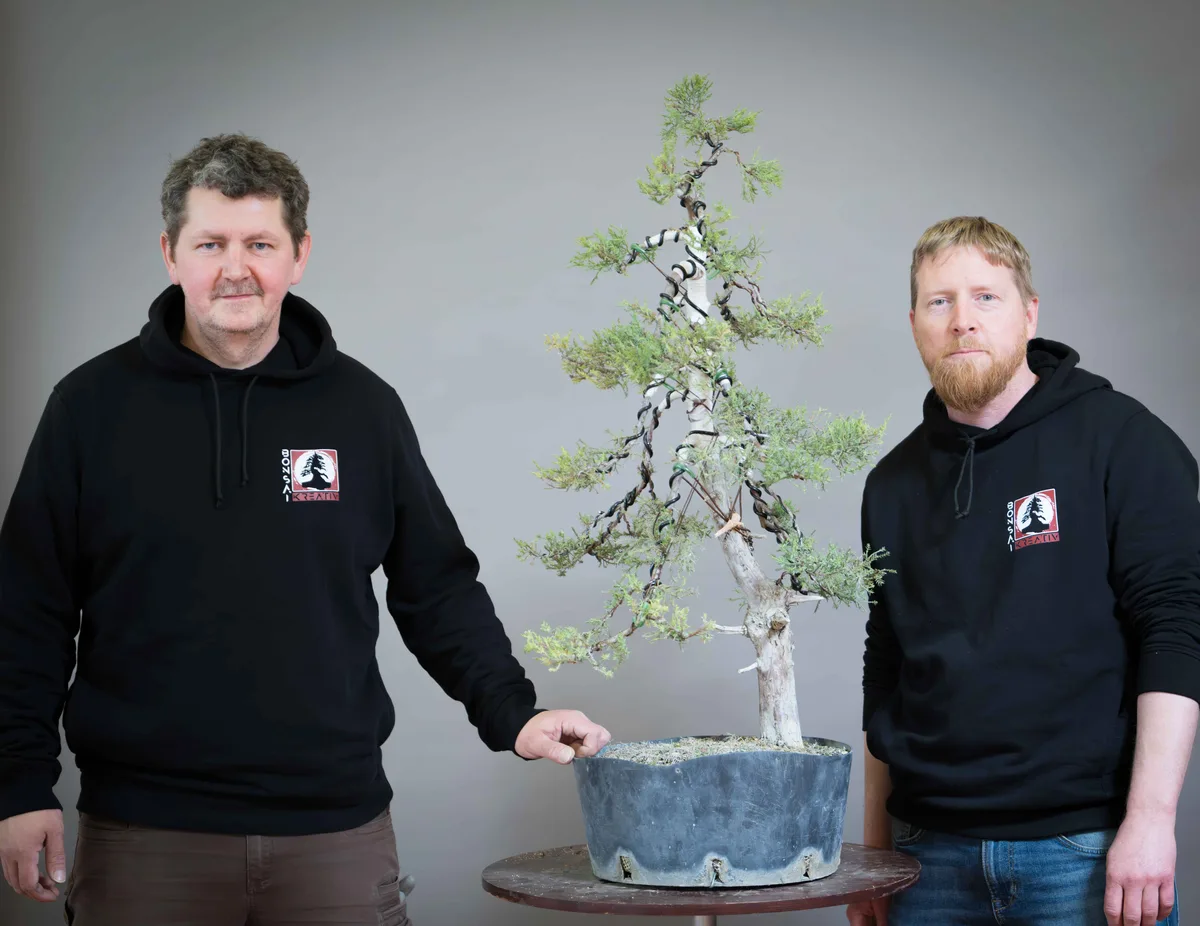 At the Bonsai Kreativ workshop with Václav Stropek: Workshop work on a pine in an upright form, with wired branches.