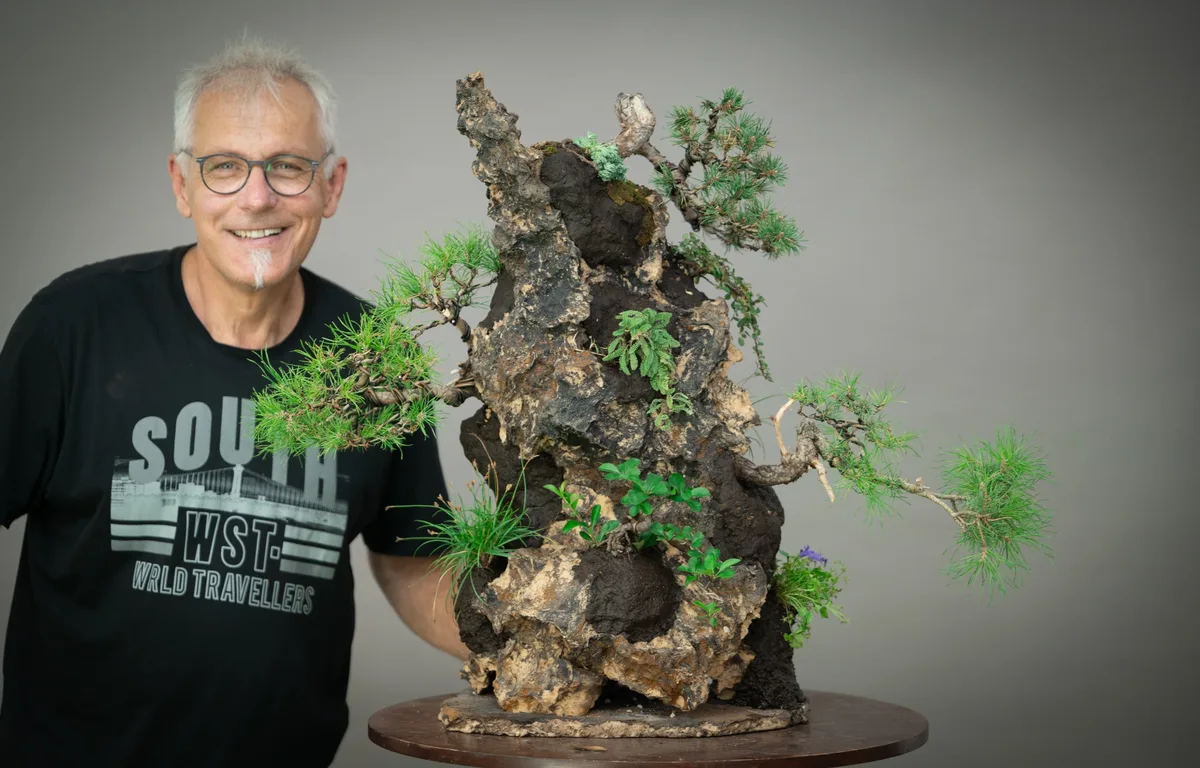 Beim Bonsai-Kreativ-Workshop mit Yannick Kiggen: Bearbeitung einer Kiefer auf einer Felsgestaltung, mit sichtbarer Benadelung.