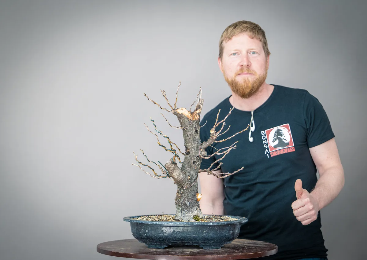At the Bonsai Kreativ workshop with Yannick Kiggen: Workshop work on a bonsai without leaves.
