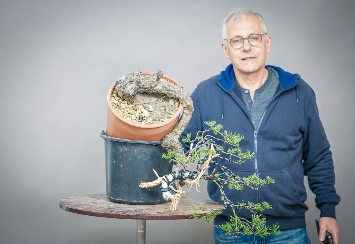 At the Bonsai Kreativ workshop with Yannick Kiggen: Workshop work on a bonsai in a cascading form.