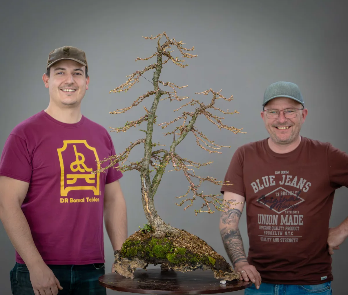 Beim Bonsai-Kreativ-Workshop mit Yannick Kiggen: Bearbeitung einer Lärche ohne Laub, auf einer Felsgestaltung.