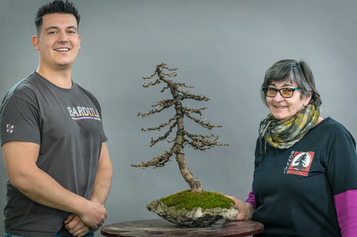 Beim Bonsai-Kreativ-Workshop mit Yannick Kiggen: Bearbeitung einer Lärche ohne Laub, auf einer Felsgestaltung.