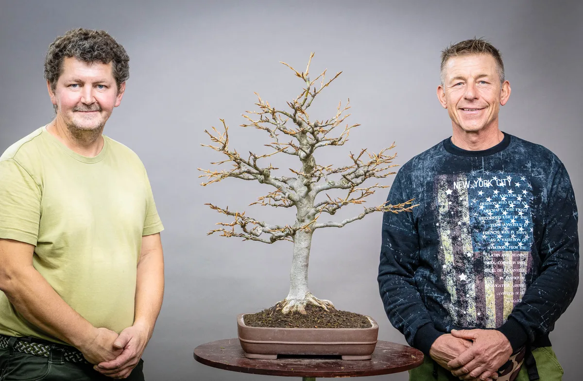 At the Bonsai Kreativ workshop with Václav Stropek: Workshop work on a broadleaf bonsai without leaves, in an upright form.