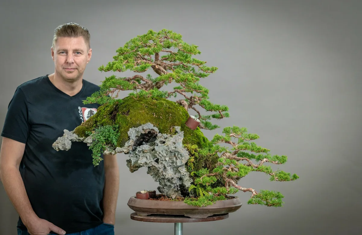 Beim Bonsai-Kreativ-Workshop mit Yannick Kiggen: Bearbeitung eines Nadelbaums auf einer Felsgestaltung, mit gegliederten Astpolstern.